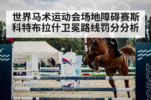 世界马术运动会场地障碍赛斯科特布拉什卫冕路线罚分分析