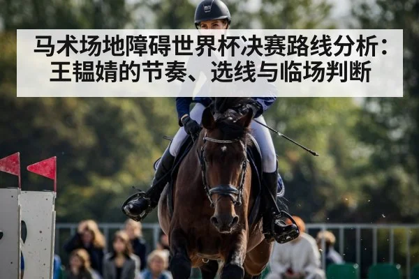 马术场地障碍世界杯决赛路线分析：王韫婧的节奏、选线与临场判断（Leyu）
