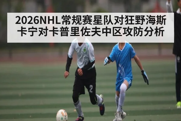 2026NHL常规赛星队对狂野海斯卡宁对卡普里佐夫中区攻防分析